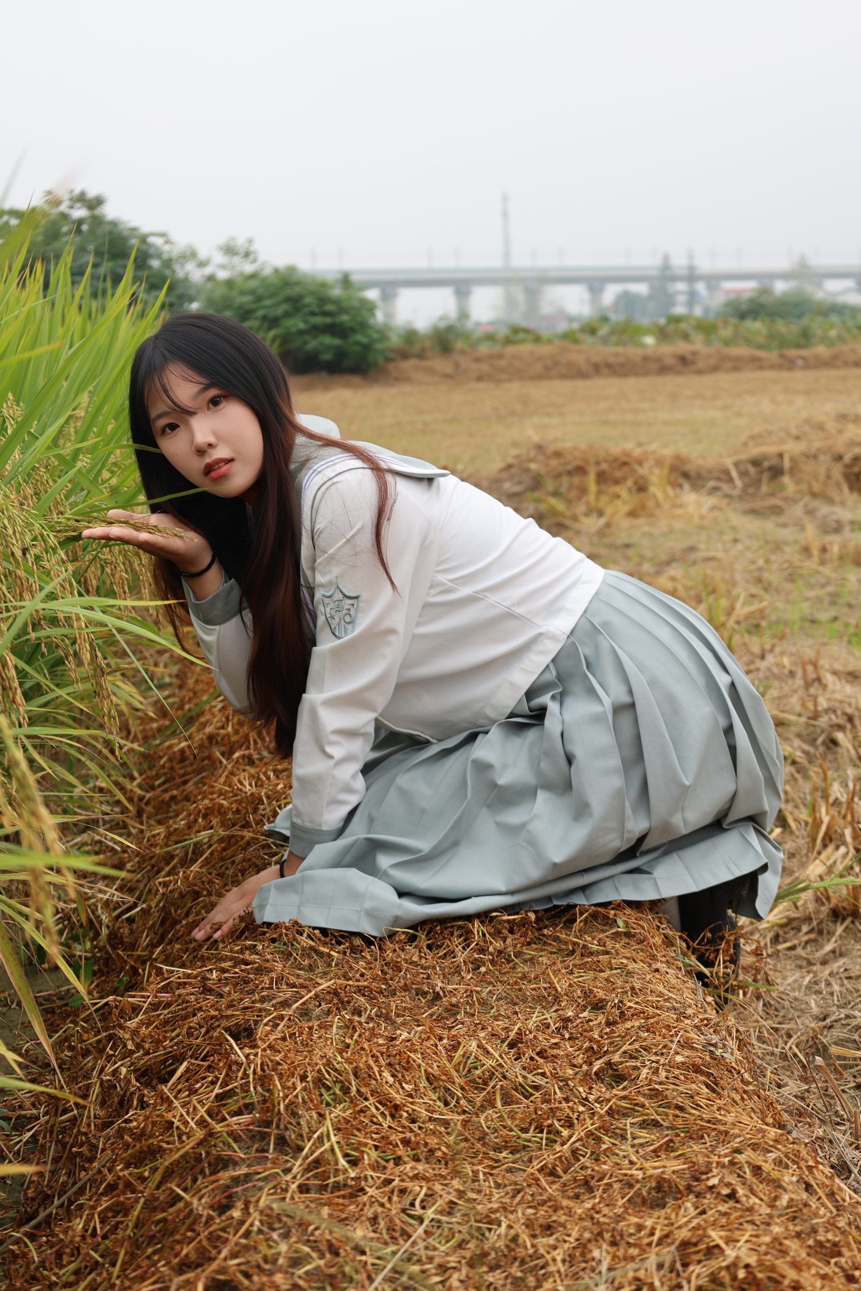 🍂柿红染秋田，闯进田园治愈帧【86P】